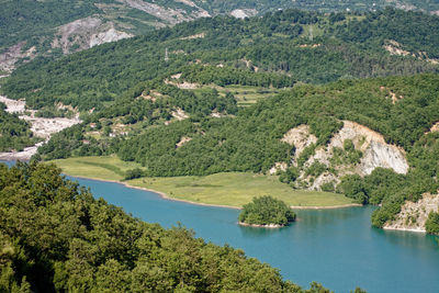 High angle view of river amidst trees in forest