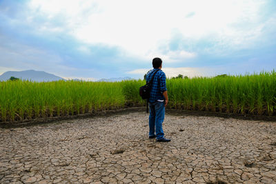 Rear view of man standing on field against sky