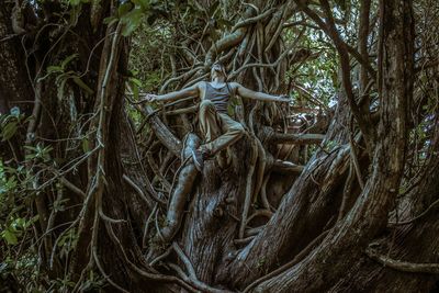 Close-up of tree roots in forest