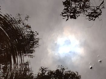 Low angle view of silhouette tree against sky