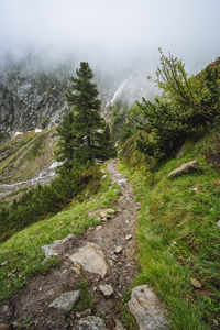 Trail amidst trees and plants against sky