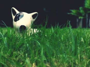 View of animal toy on grass