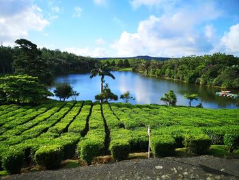 Scenic view of lake against sky