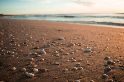 The color of sand