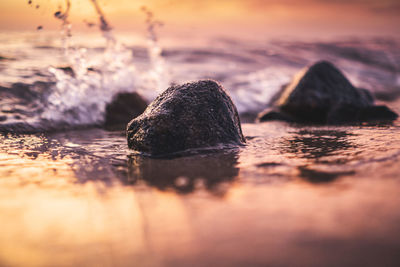 Close-up of rock on beach