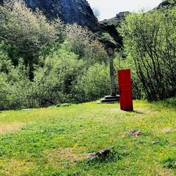 Lifeguard hut on field in forest