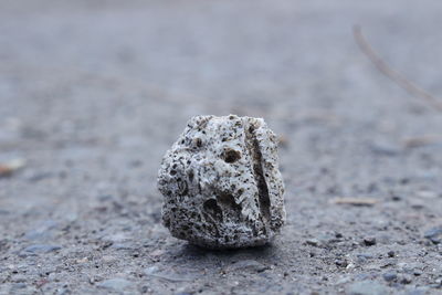 Close-up of rock on beach