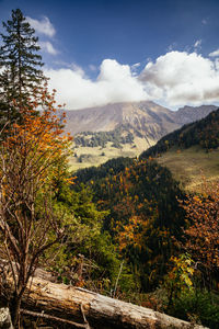 nature