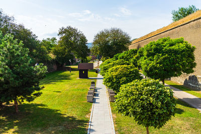 Trees and plants in park against sky