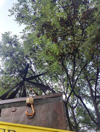 Low angle view of trees against sky