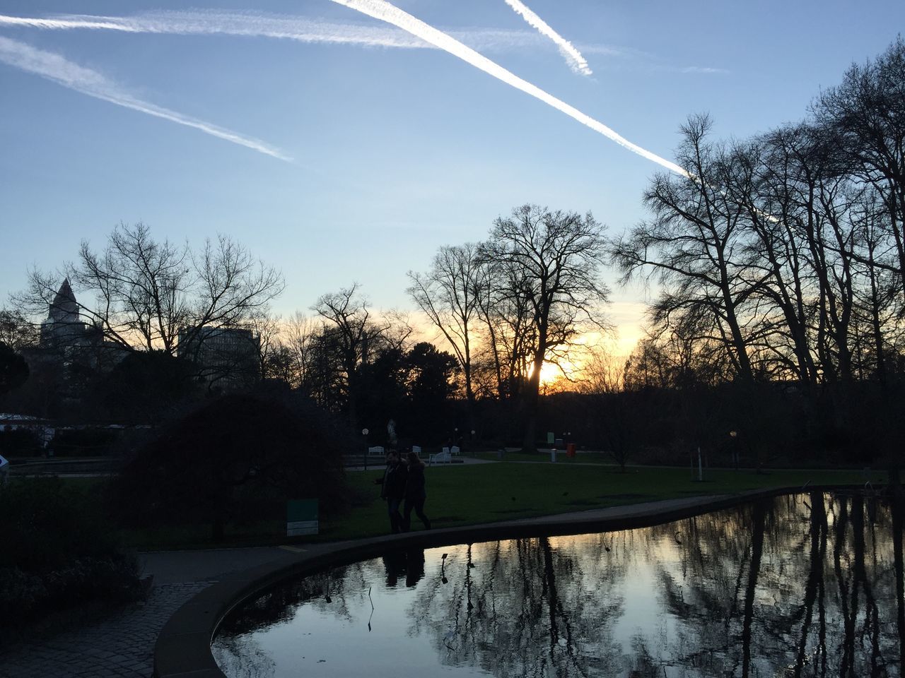 REFLECTION OF SILHOUETTE TREES IN LAKE