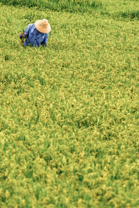 Man working at farm