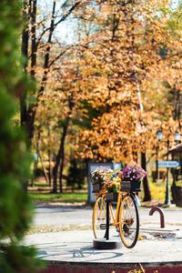 Bicycle parked in park