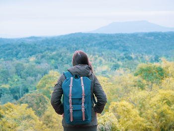 Rear view of woman looking at landscape