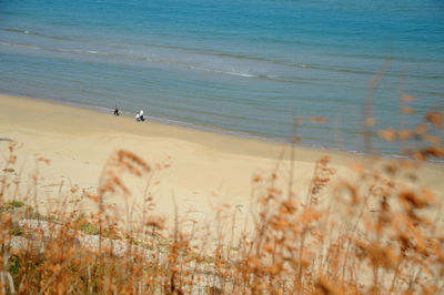  beach view 