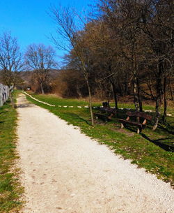 Empty footpath amidst grassy field