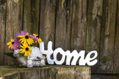 Close-up of flowers on wood