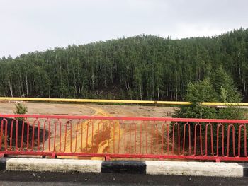 Road by trees in forest against sky