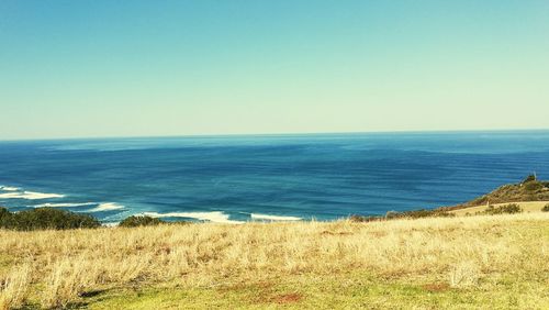 Scenic view of sea against clear blue sky