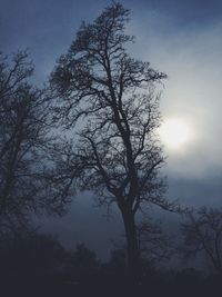 Low angle view of trees against sky