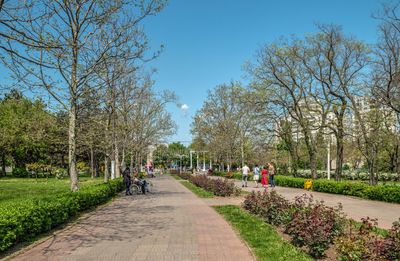 Chernomorsk, ukraine 14.05.2023. seaside or primorsky park in chernomorsk, odessa region of ukraine