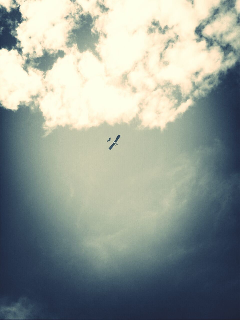 flying, low angle view, sky, mid-air, cloud - sky, transportation, airplane, cloudy, nature, air vehicle, beauty in nature, animal themes, cloud, on the move, one animal, bird, wildlife, outdoors, mode of transport, silhouette