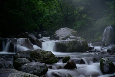 Scenic view of waterfall in forest