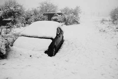 Snow covered land on field during winter