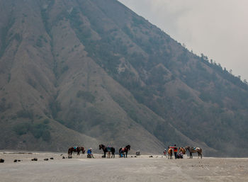 Group of people on mountain road