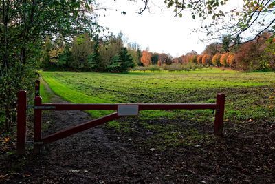 Scenic view of field against sky during autumn