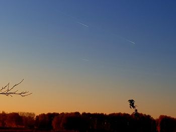 Low angle view of silhouette trees against clear sky during sunset