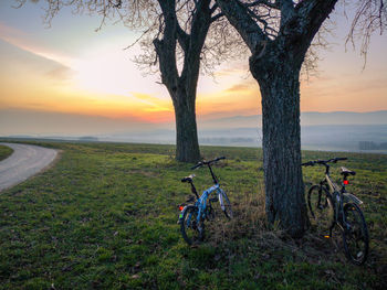 Bikes parked by a tree against beautiful sunset background