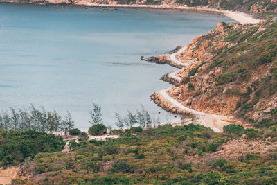 High angle view of sea and trees