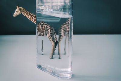 Close-up of glass of water on table