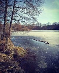 View of frozen lake against sky during winter