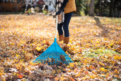 Low section of man holding autumn leaves