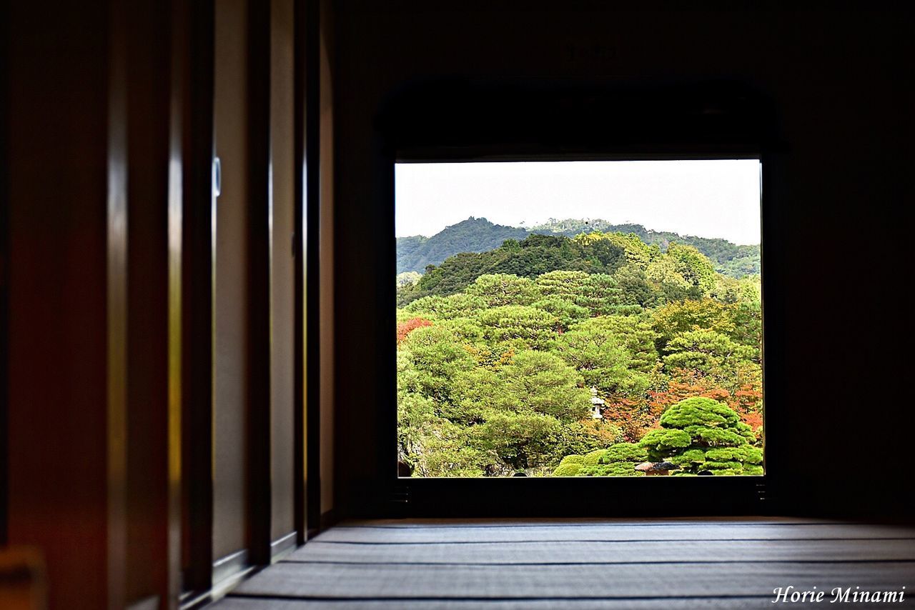 indoors, window, tree, nature, no people, day, mountain, growth, plant, beauty in nature, scenics, architecture, sky