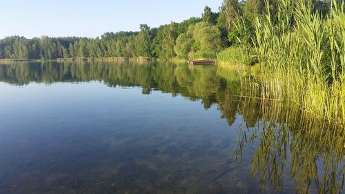 Scenic view of lake in forest against sky