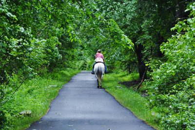 Rear view of woman horseback riding on road amidst trees