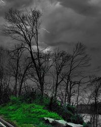 Bare trees on landscape against cloudy sky