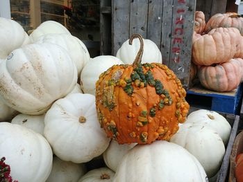Close-up of pumpkins for sale at market stall