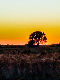 Scenic view of field against sky during sunset