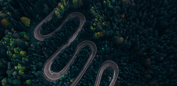 High angle view of road amidst trees in forest