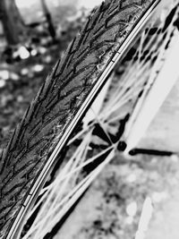 Close-up of rusty metal fence