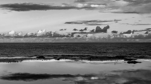 Birds flying over sea against sky