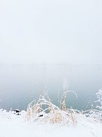 Scenic view of snow covered land against sky