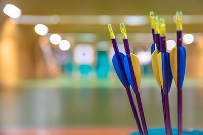 Close-up of multi colored pencils