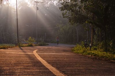 People walking on footpath by road