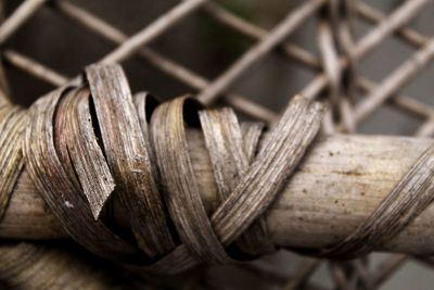 Close-up of rope tied on wood