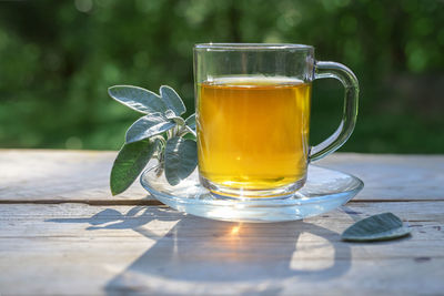 Close-up of drink on table